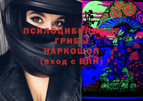 а пвп мука Абаза