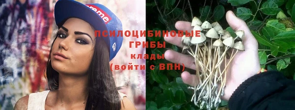 Альфа ПВП Абинск